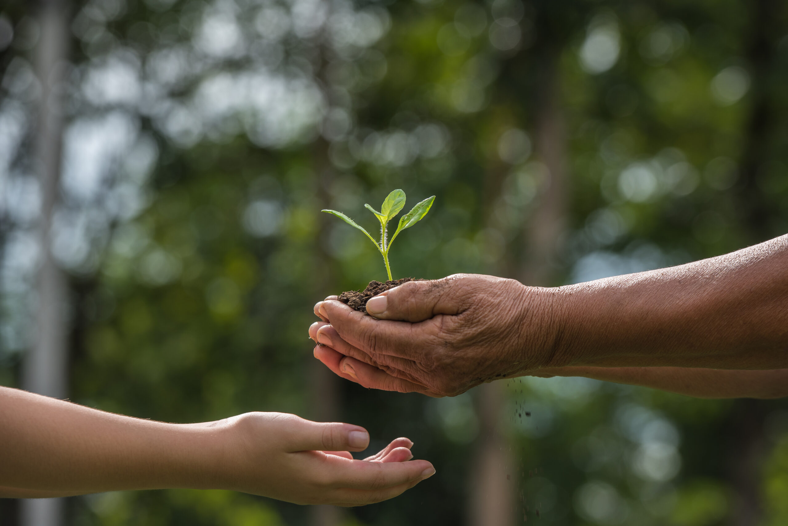 Sustainability | Dunlop Hiflex